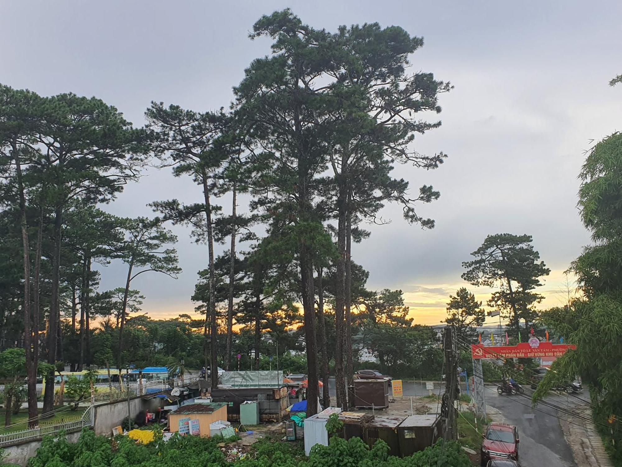 Duy Hotel Da Lat Kültér fotó